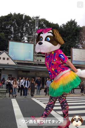IMG_0892.png