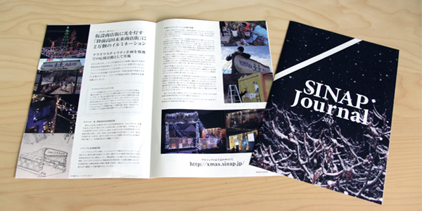 SINAP Journal 2013　中