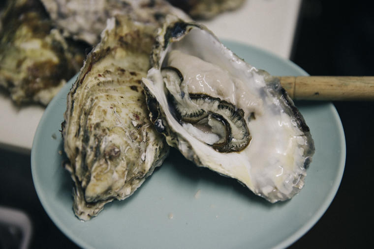 oyster_3.jpg