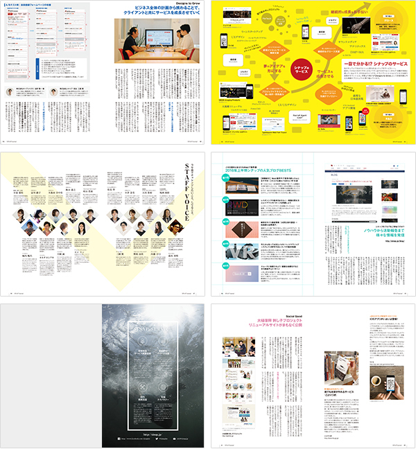 sinapJournal_2016s03.jpg