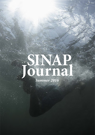 sinapJournal_2016s02.jpg